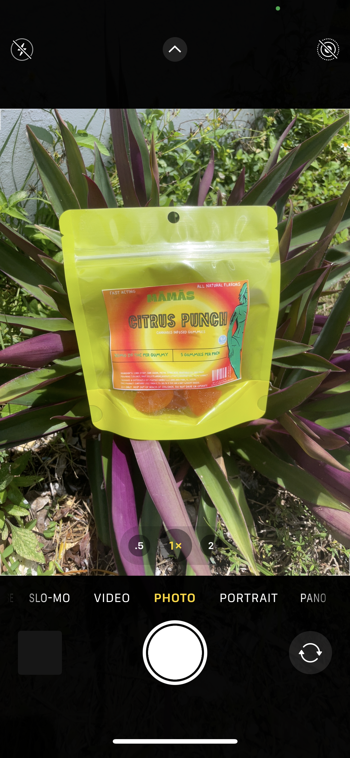 Mama’s Gummies - 10 Pack
